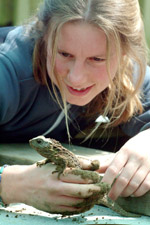 Jo Hoare