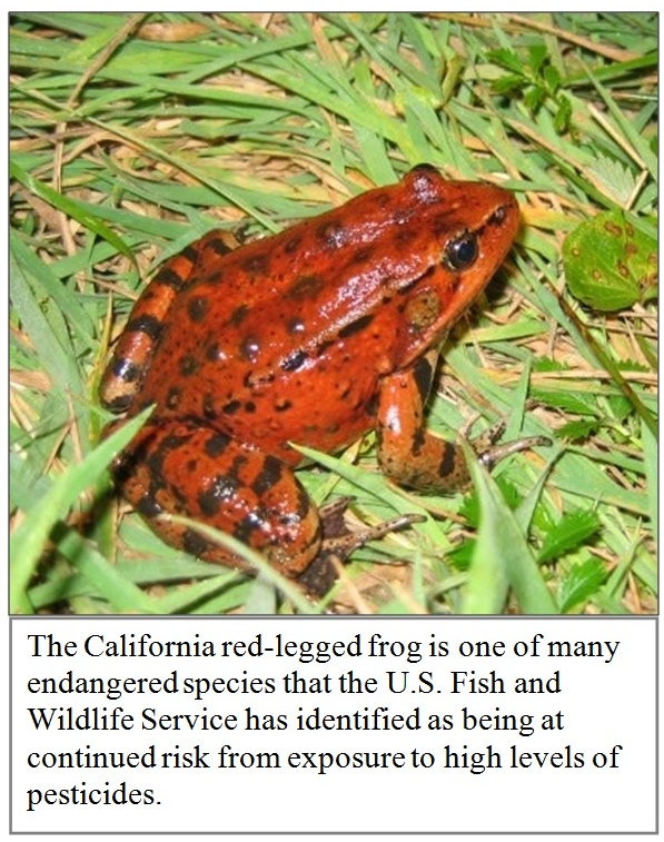 Photo Credit: U.S. Fish and Wildlife Service