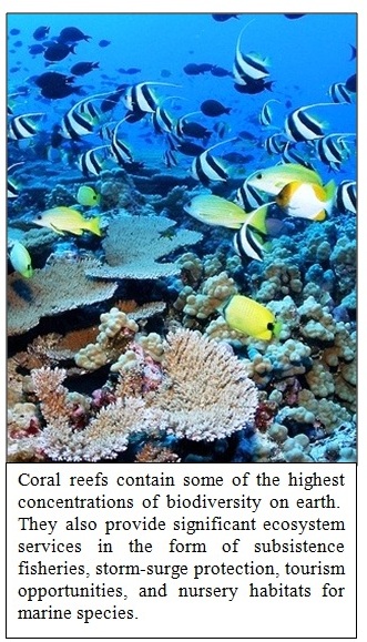 Photo: National Oceanic and Atmospheric Administration