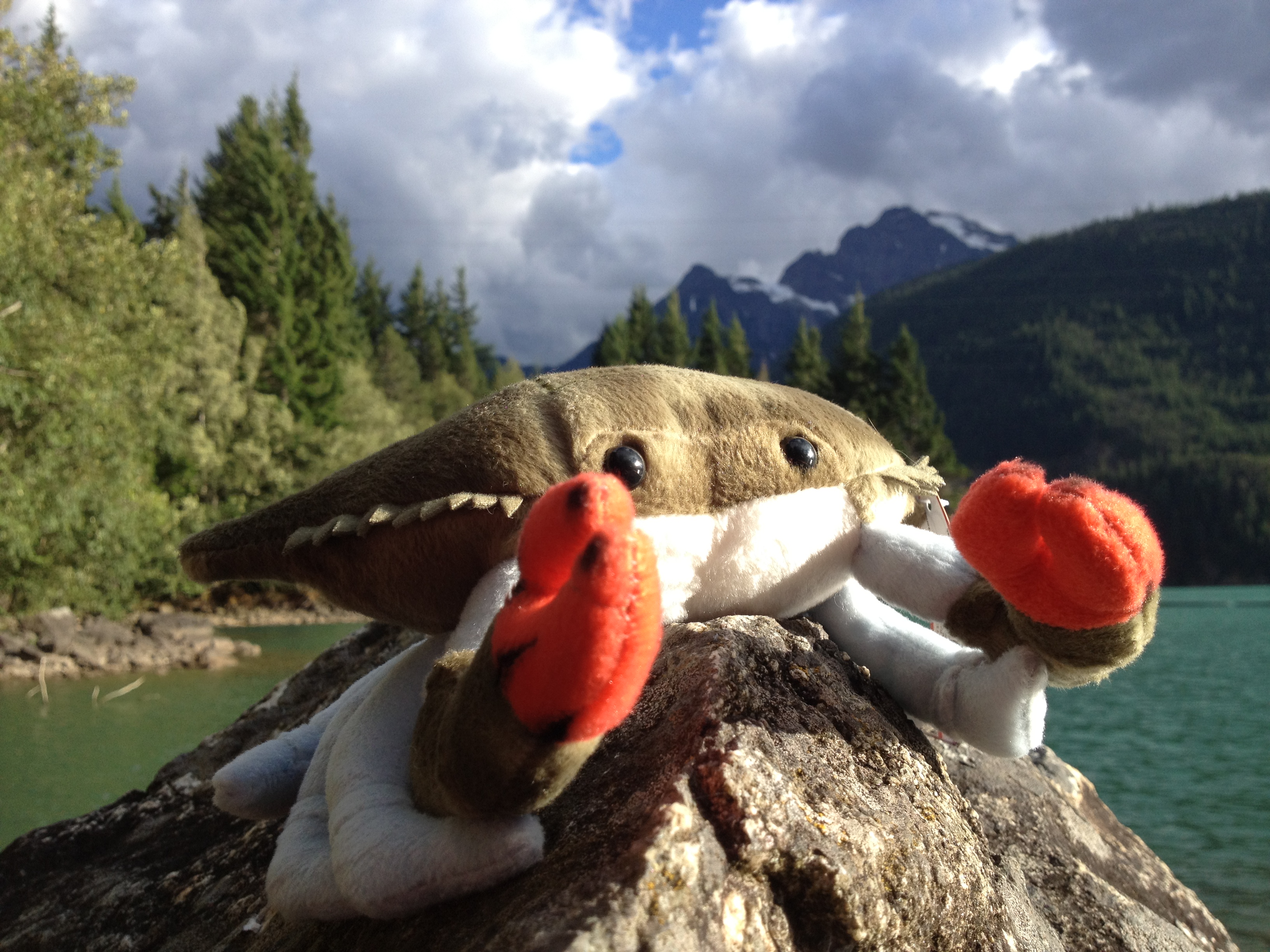 Photo In Cascades National Park, Washington, USA