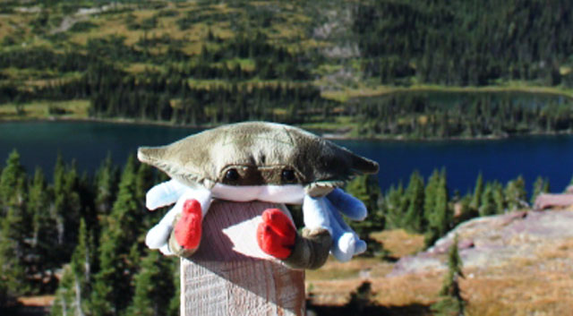 Photo At the summit of Logan Pass, Montana, USA