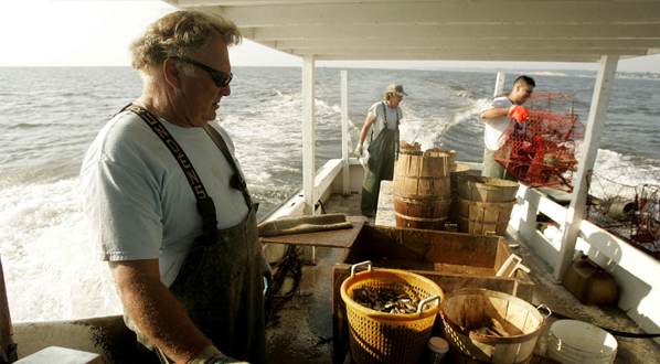 Photo Watermen aboard the commercial crabbing boat 'Foxy Roxy', Chesapeake Beach