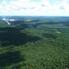 photo for SCB Roadless Areas Initiative Goes Global