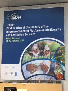 photo for SCB Sends Delegation to IPBES