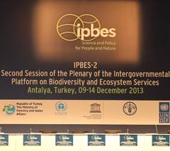 photo for IPBES Stakeholder Day: Report from Turkey