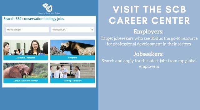 Find or advertise a job in the SCB Career Center!